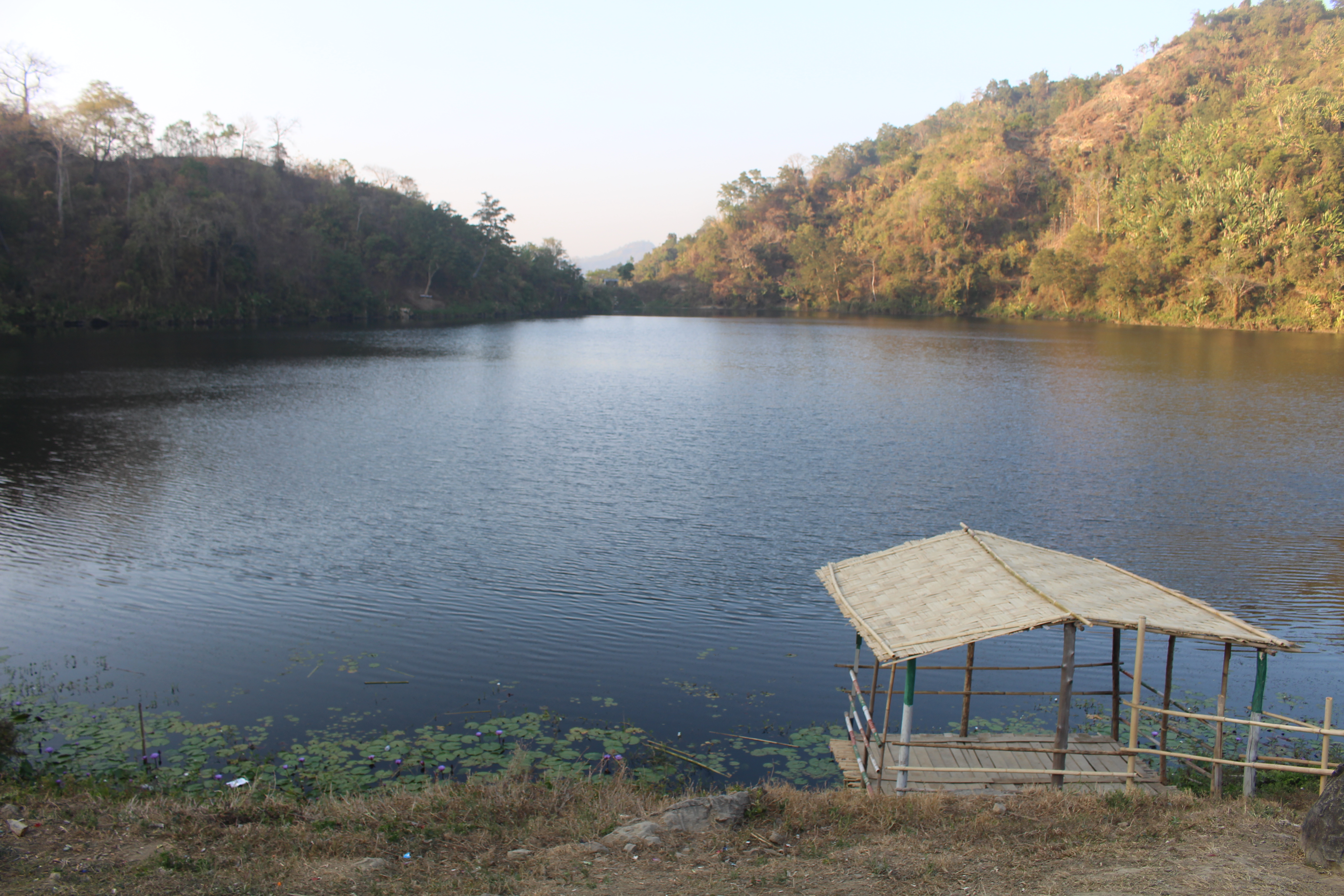 bogalake1